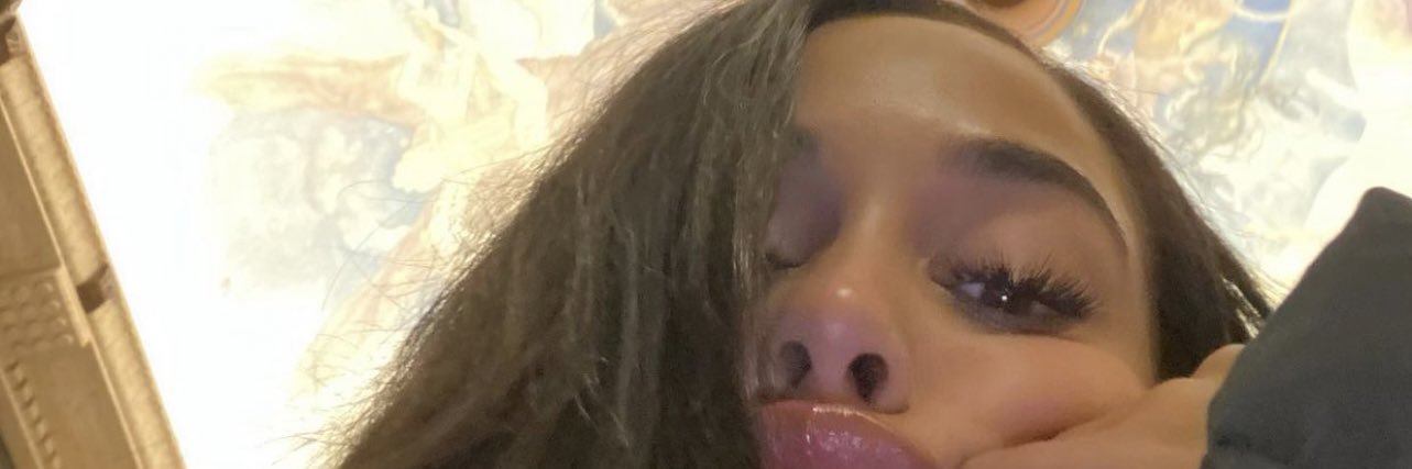 skymichelle__'s profile banner image