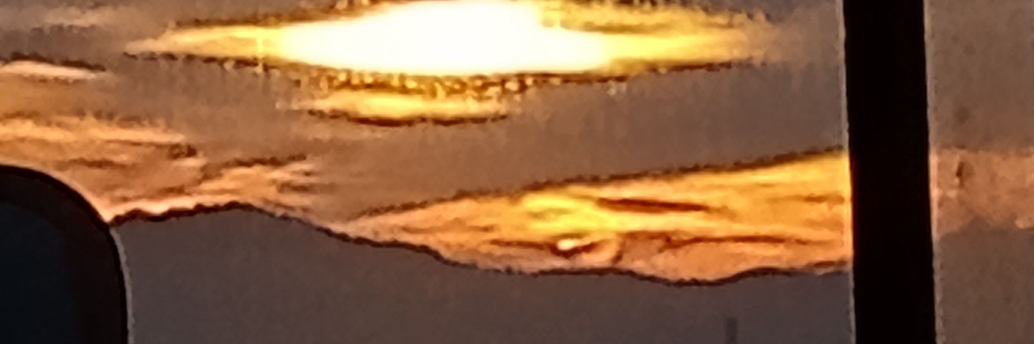 marcelaaranedam's profile banner image