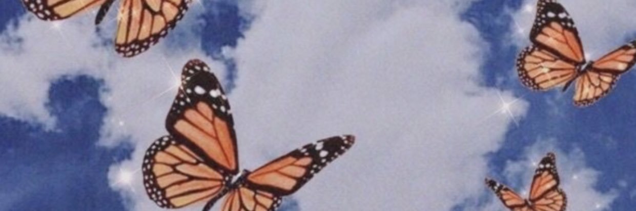 amferrandino's profile banner image