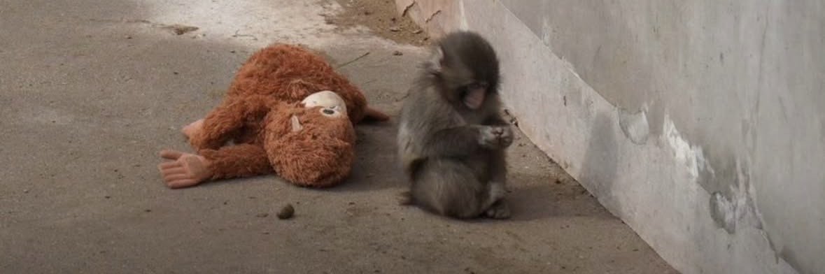 Long River Holding banner