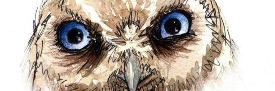 CuriousR2's profile banner image