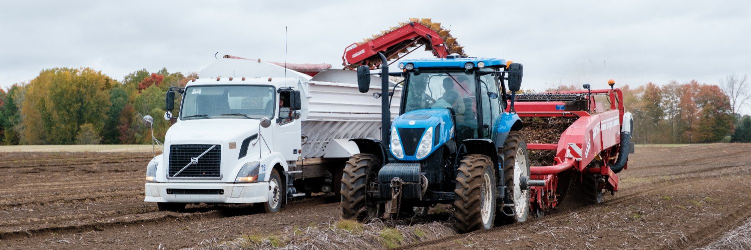 Anselm Lankhuijzen banner