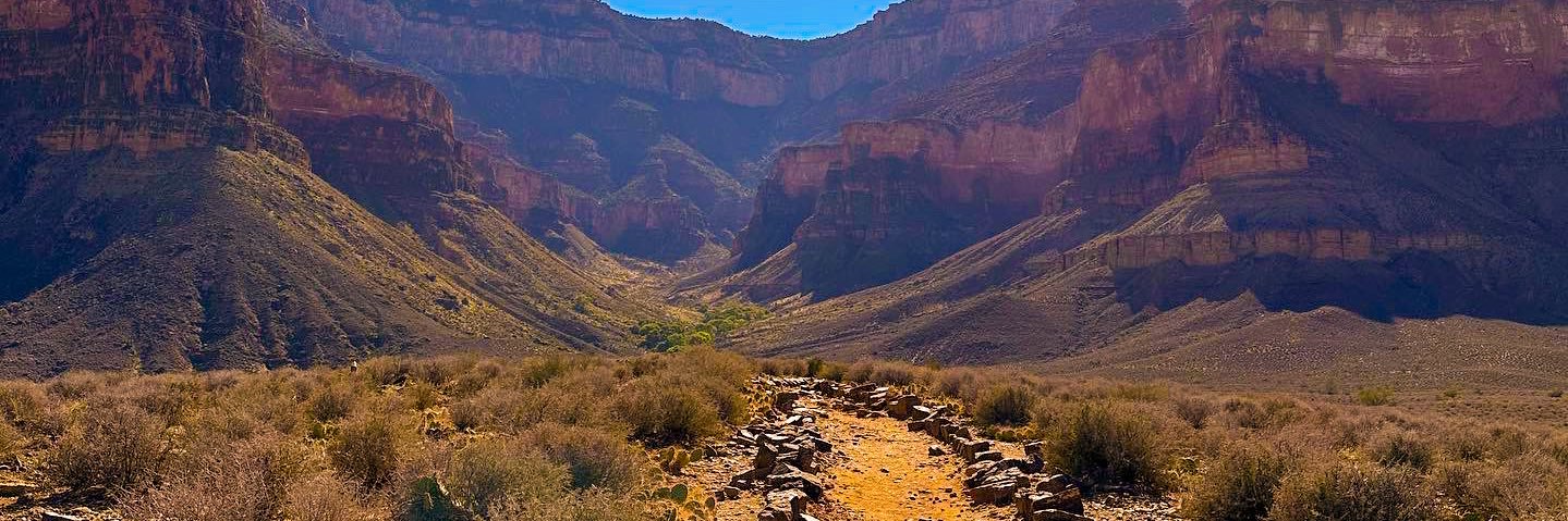 Colton Howard banner