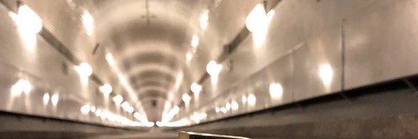 littlegiinge Profile Banner