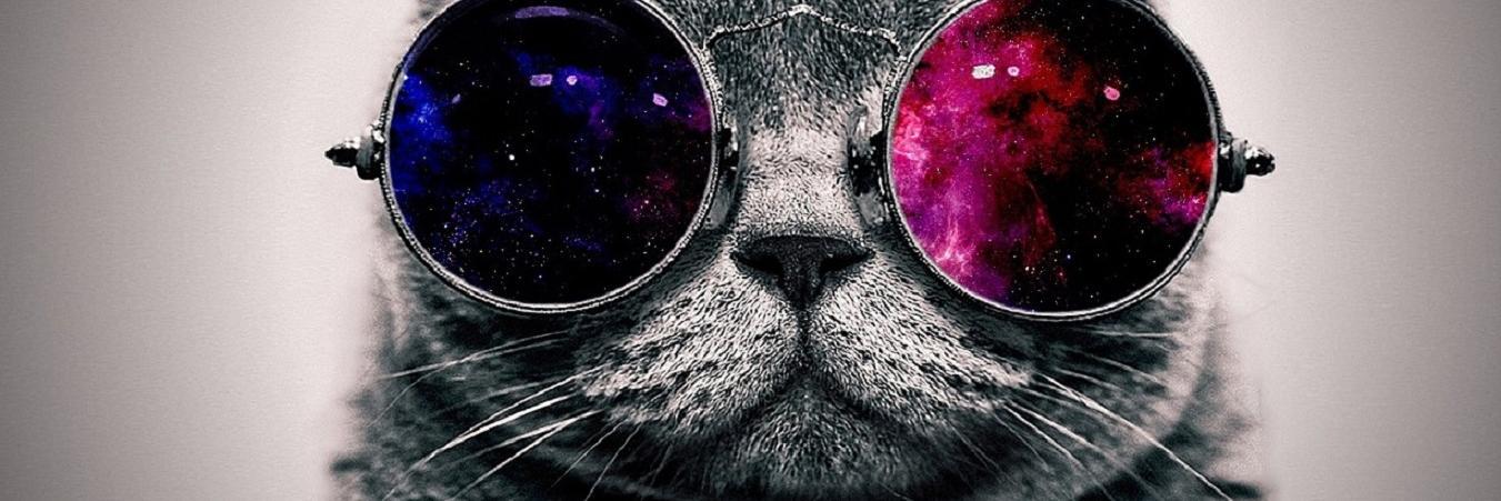 CamiiMignucci's profile banner image