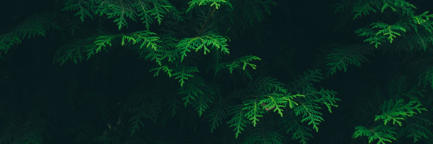 _druantia_'s profile banner image