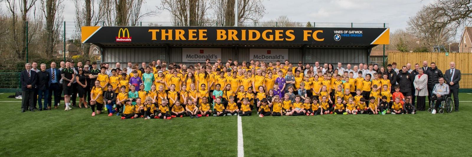 Three Bridges FC's banner