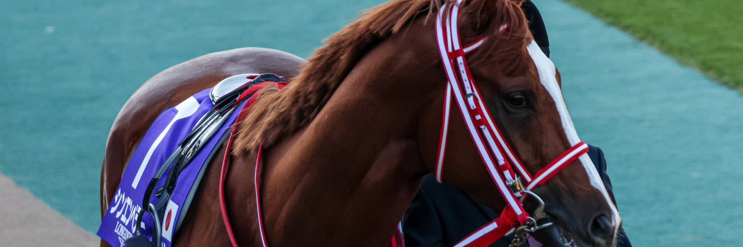 ankeeei's profile banner image