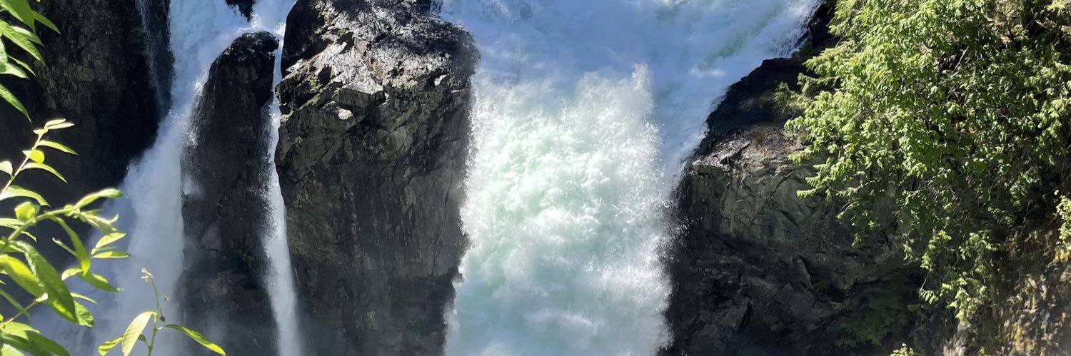 kaaskluut's profile banner image
