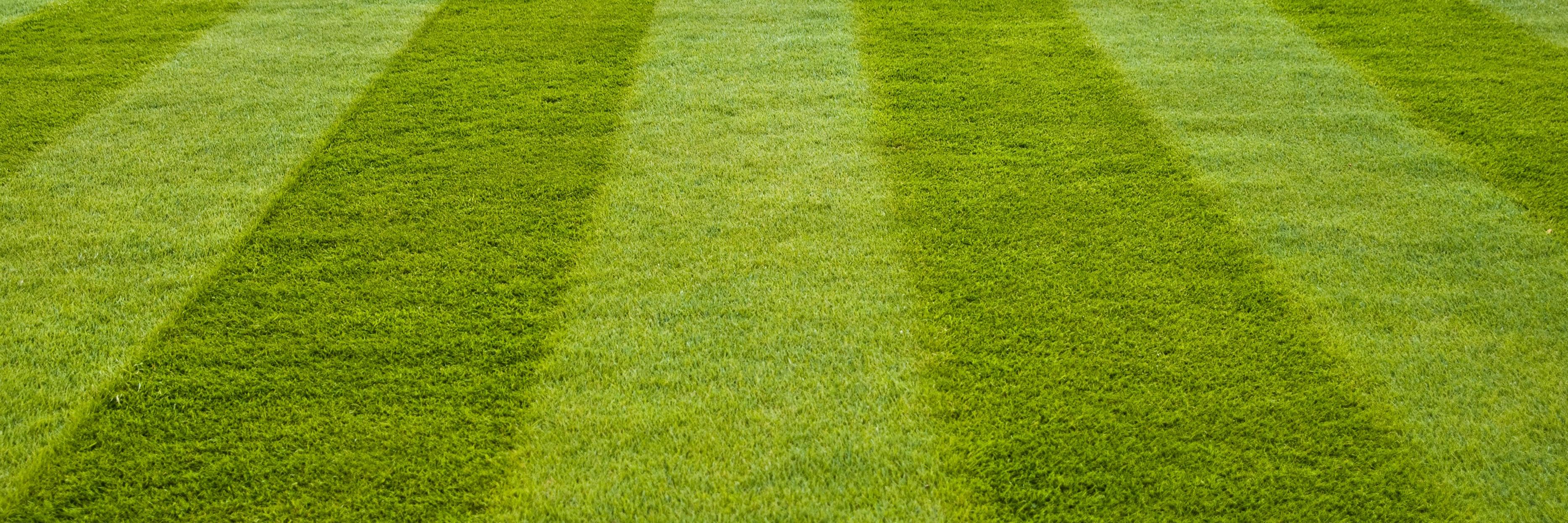 EverlushLawn's profile banner image