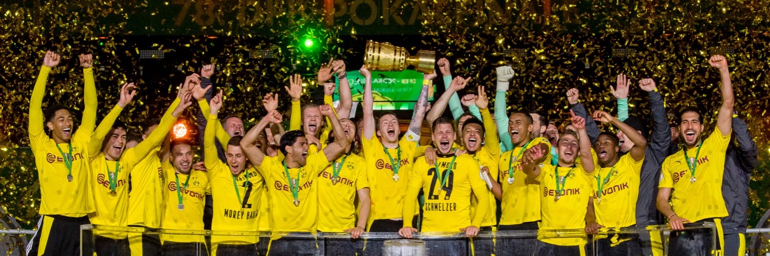 BVB International Academy North Texas banner