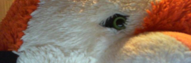 SnowyWolf5's profile banner image