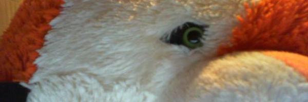 SnowyWolf5 Profile Banner