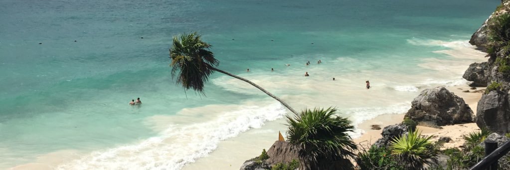 Sayuri Torres banner