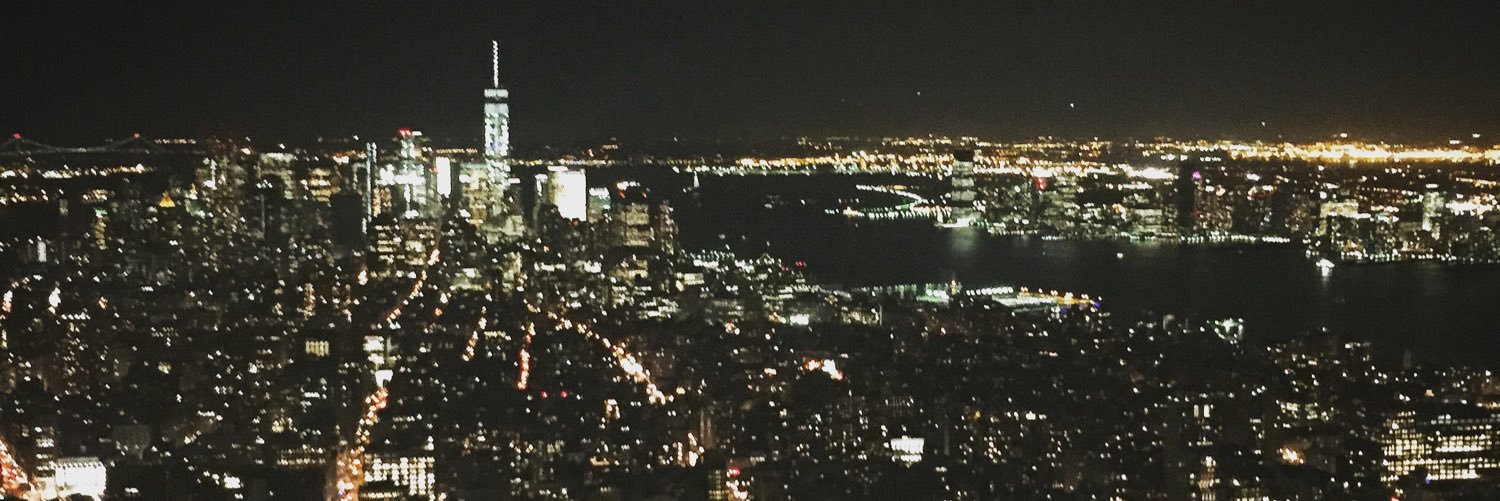 dianalemp's profile banner image