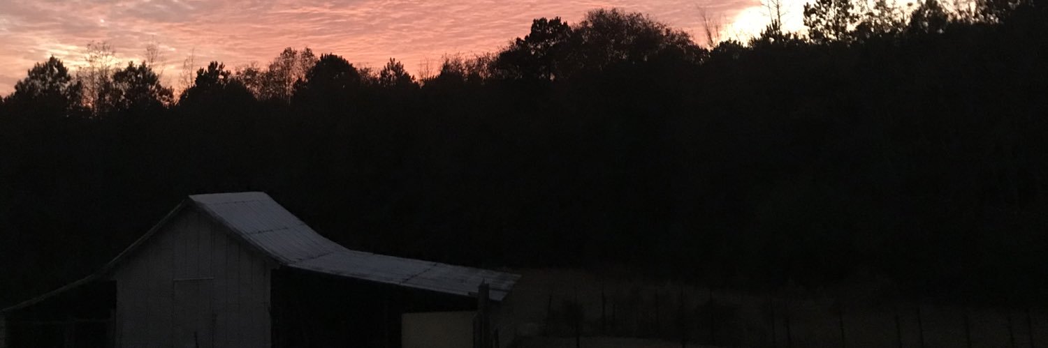 SosoArizona's profile banner image