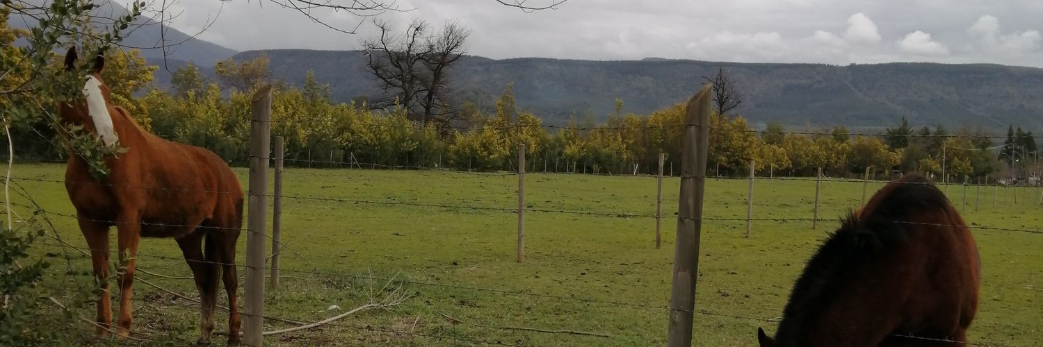 PauCamCar's profile banner image