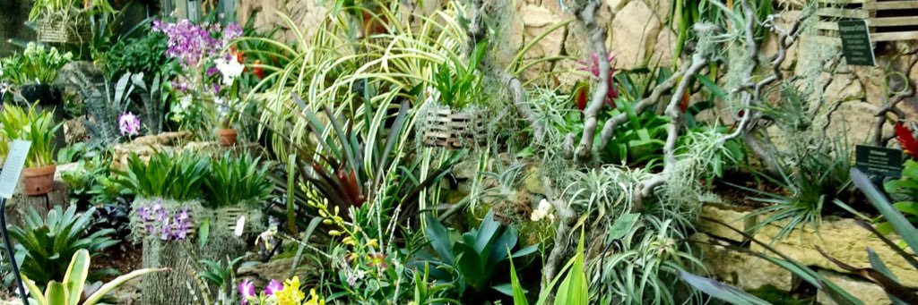 Torrie Edwards, Ph.D. banner