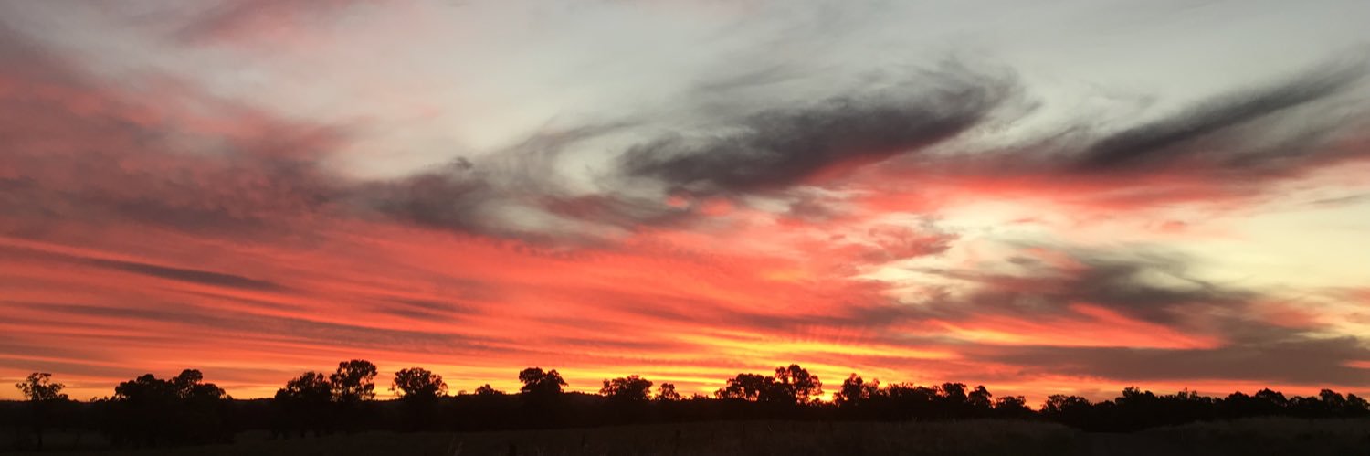 Romy Stephens banner
