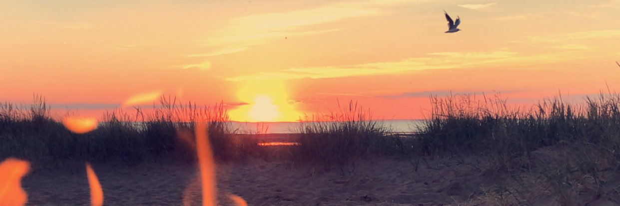 LiamBrady29's profile banner image