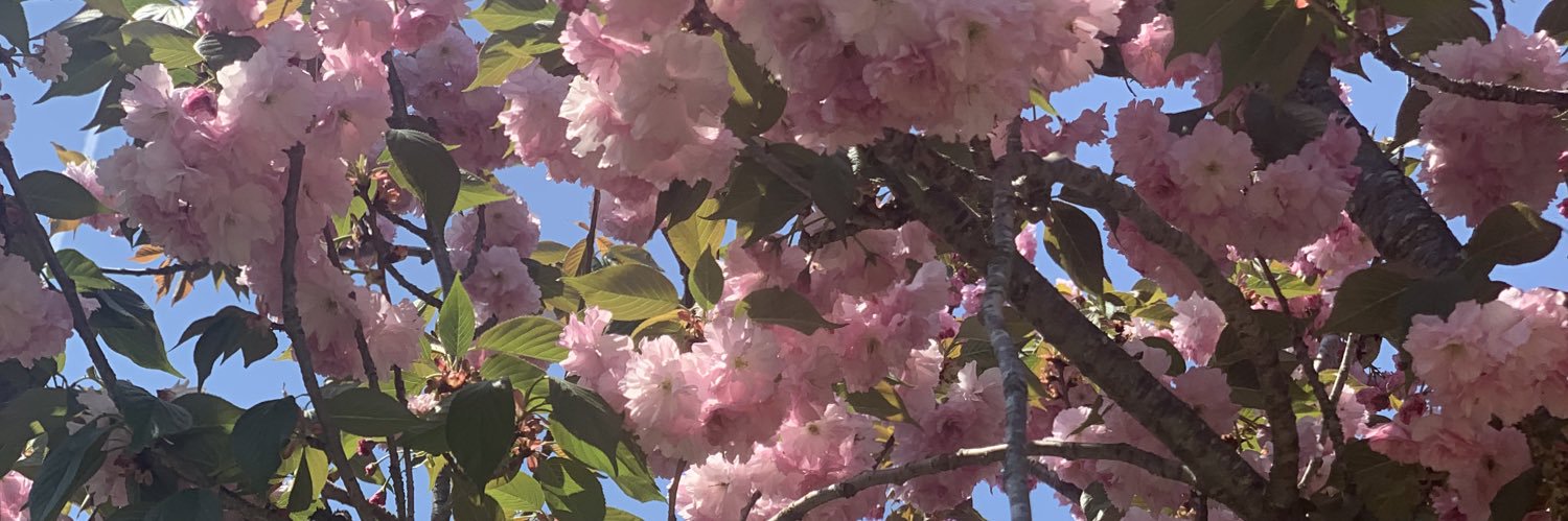 lexalay_'s profile banner image