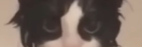 RsAldog's profile banner image