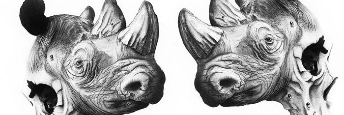edgarvoll's profile banner image
