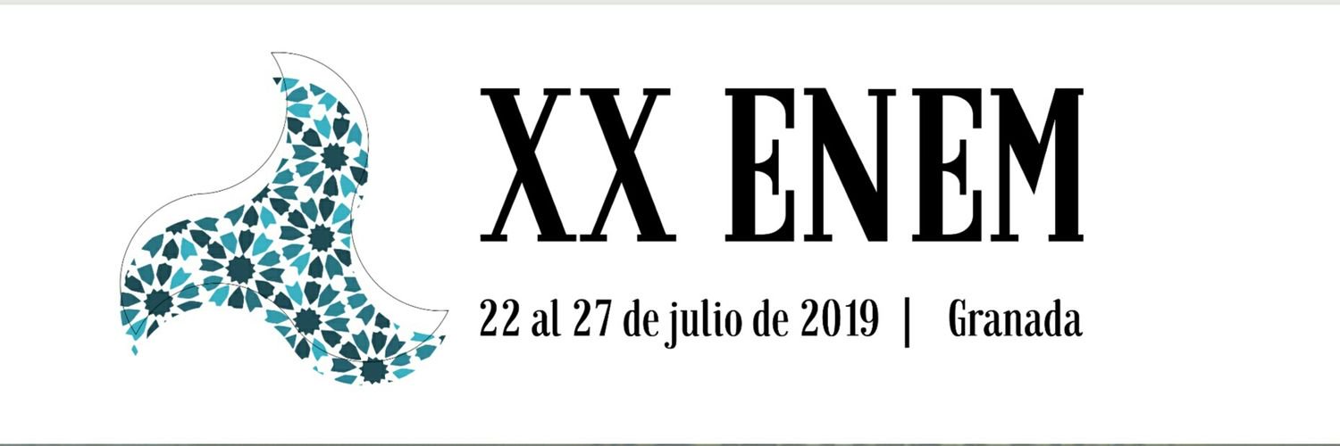 FETEM banner