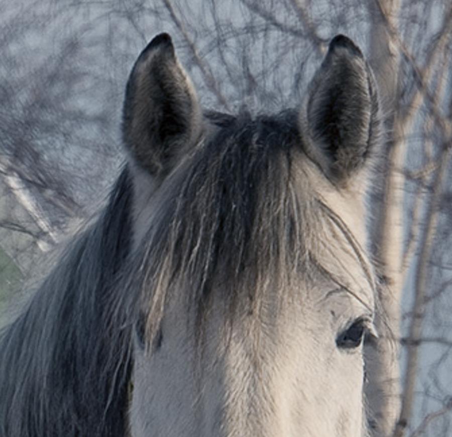 dlonkeca's profile banner image