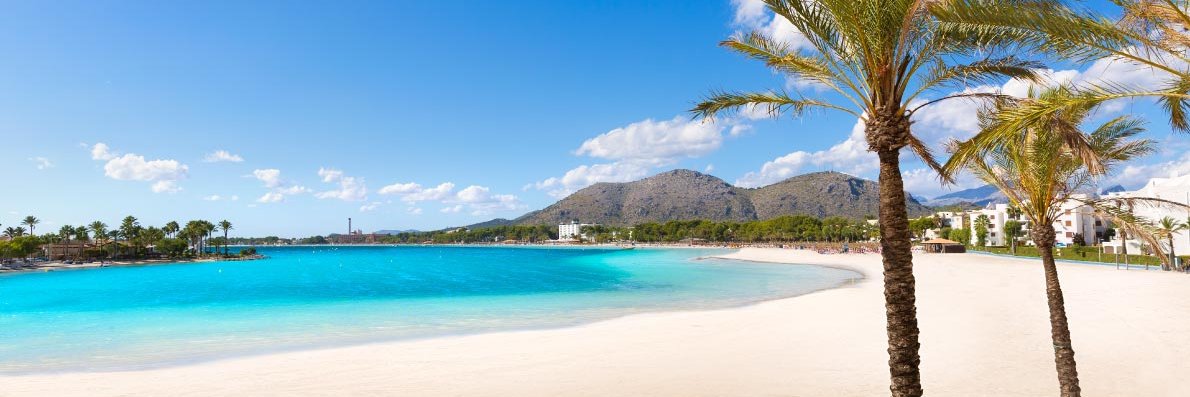 Wissam 🇵🇸 banner