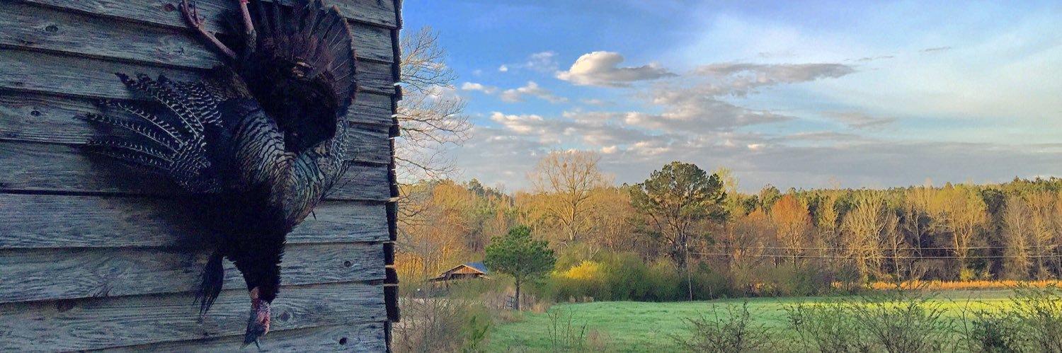 Tyler_Pugh's profile banner image