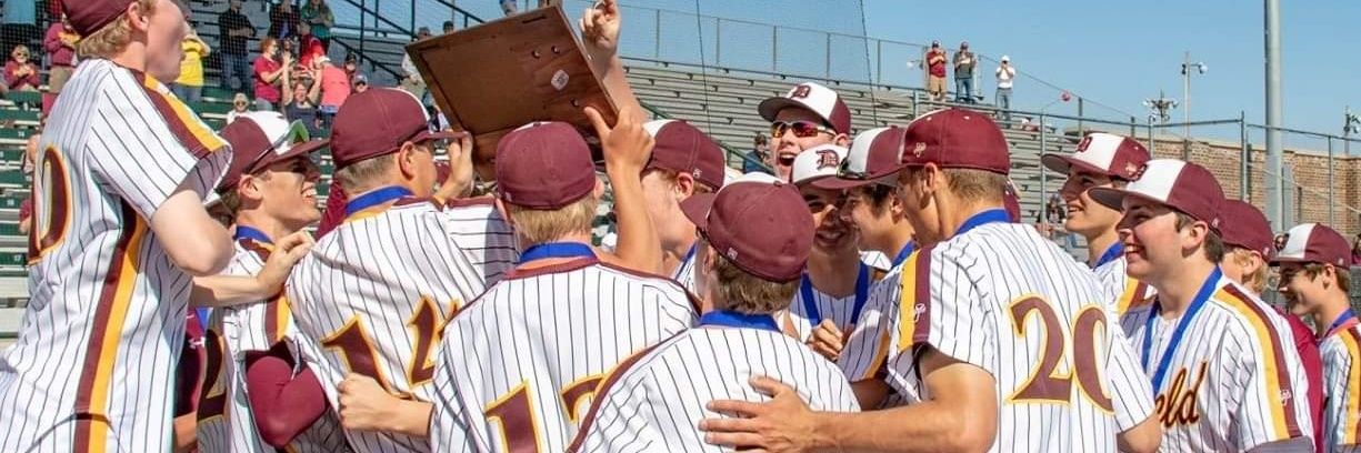 Denfeld Hunters Baseball banner