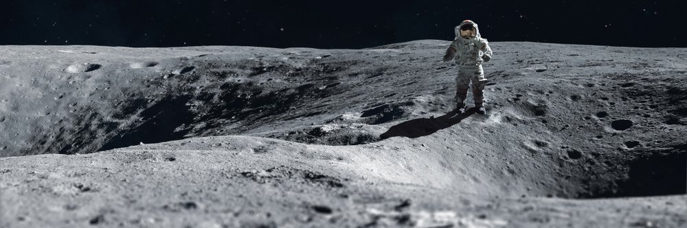 NEST____'s profile banner image