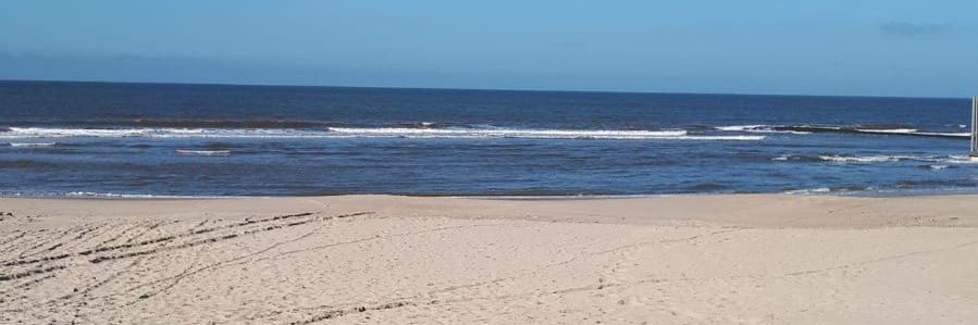 Regina van der Wal banner