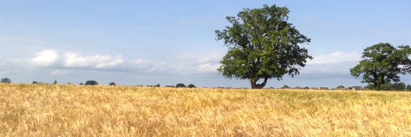 BethRobertson55 Profile Banner