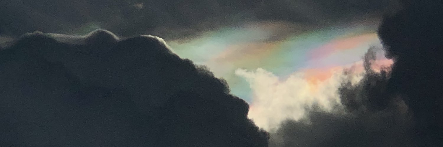 r banner