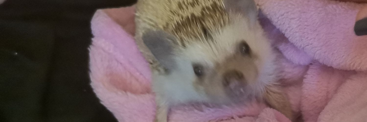 JayBate1's profile banner image