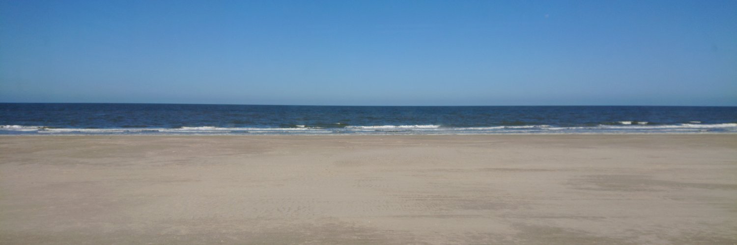 Magdel Erasmus banner