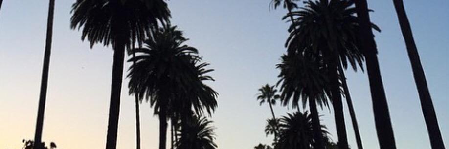 RuBrandon's profile banner image
