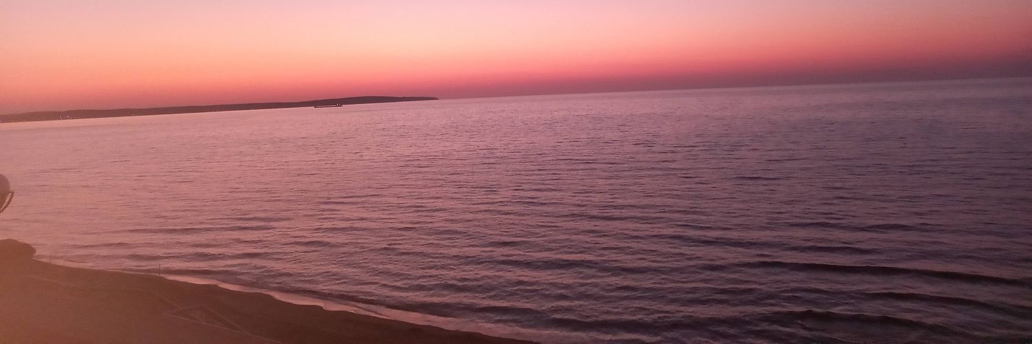 ElfShnx's profile banner image