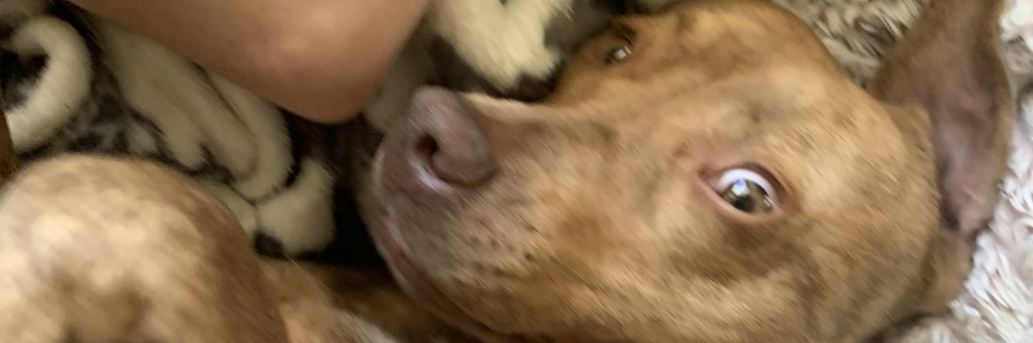 cassgitch's profile banner image