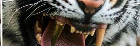 u_Super_lo's profile banner image
