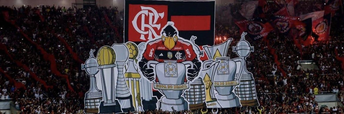 brnssro's profile banner image