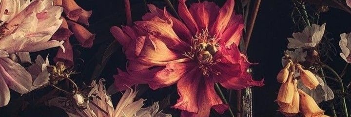 canseldgnnn's profile banner image