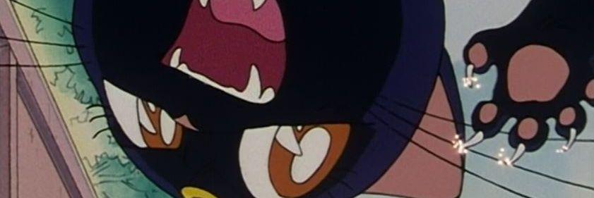 Mimarizm_'s profile banner image