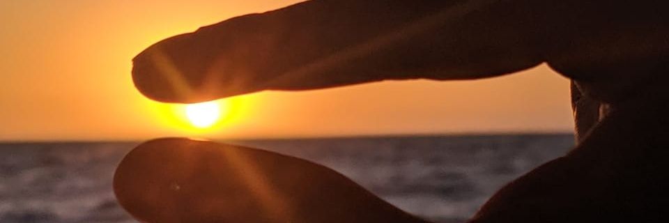 ThiagoFelipesi4's profile banner image