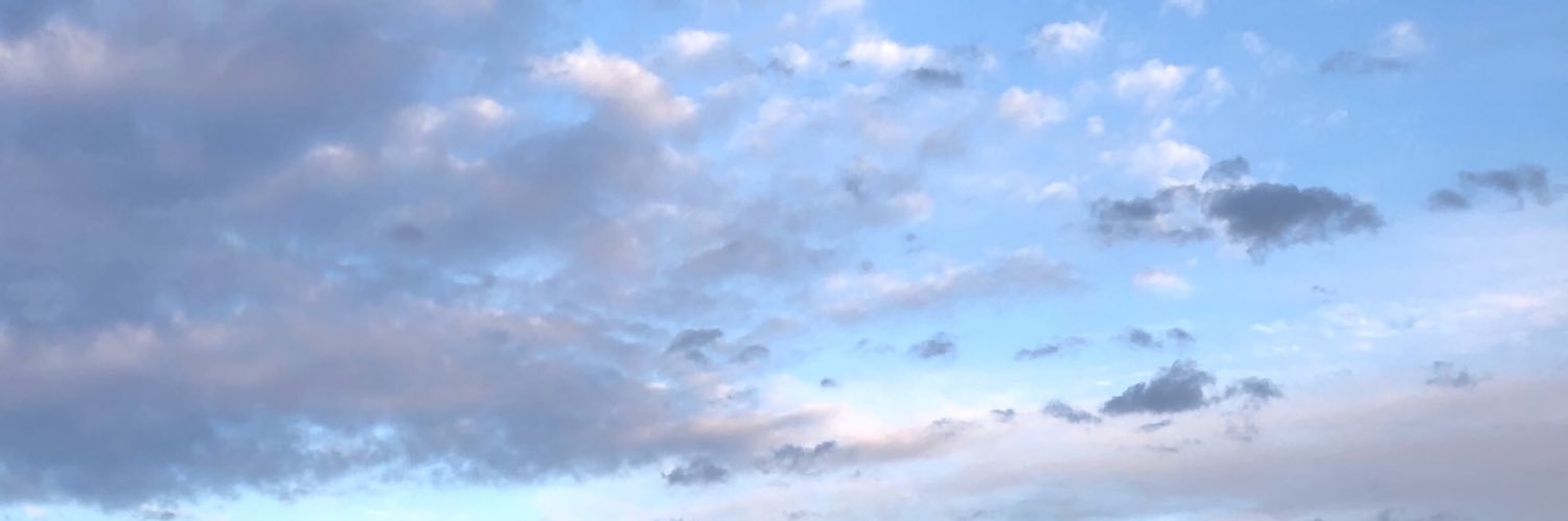 LesslieCameron's profile banner image
