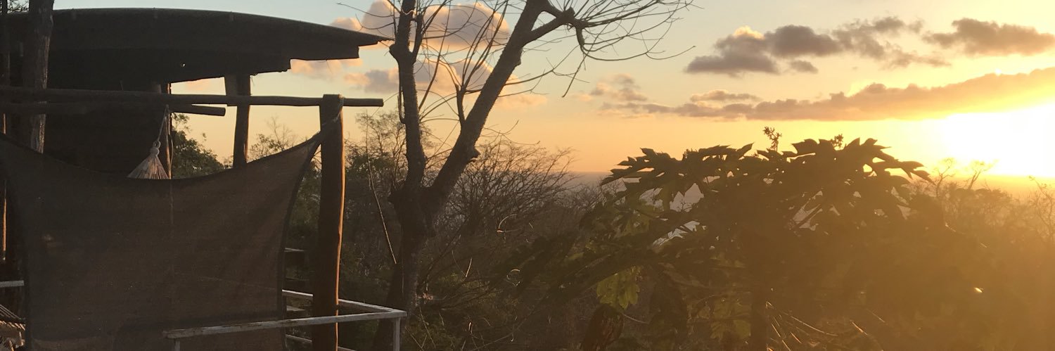 colleenkbarry's profile banner image