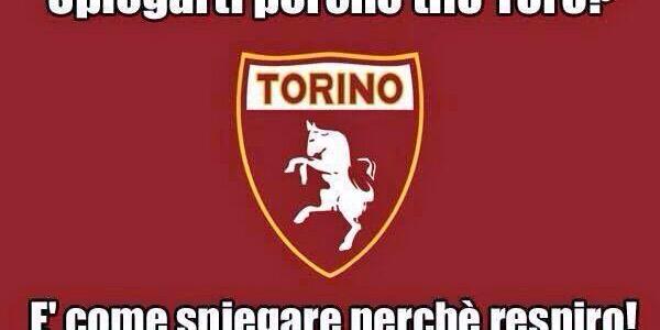 solotoro2015's profile banner image