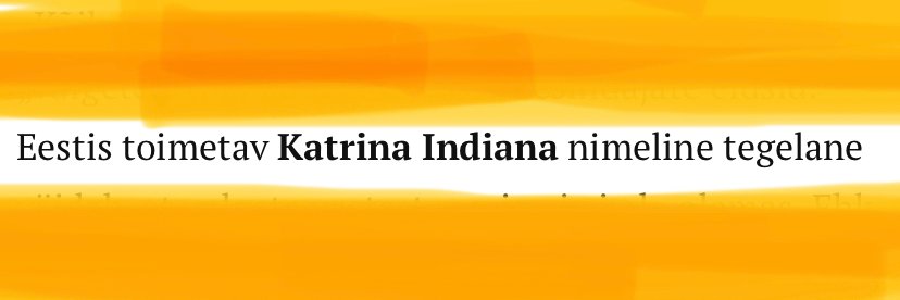 katindiana's profile banner image